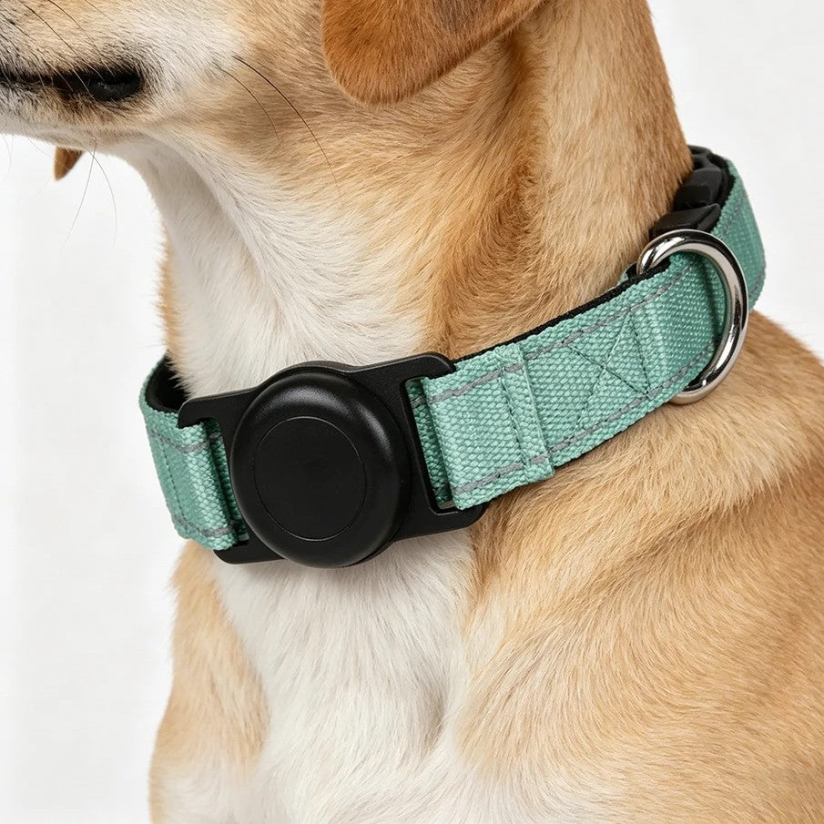 Dog wearing the HooPet collar with the sealed tag holder