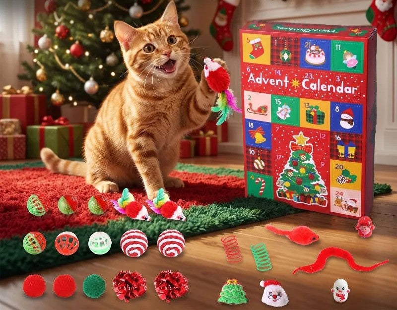 Cat playing next to the advent calendar