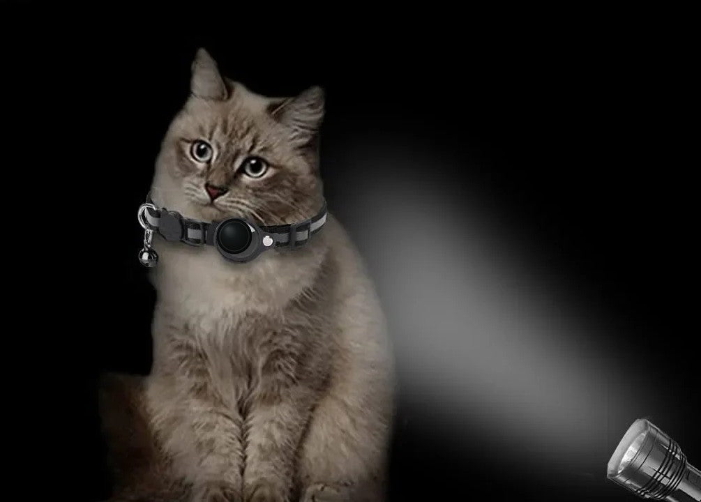 Cat at night, the reflective strips catch the light