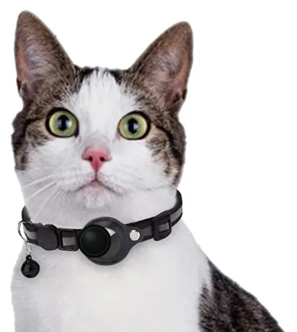 Cat wearing the HooPet cat collar